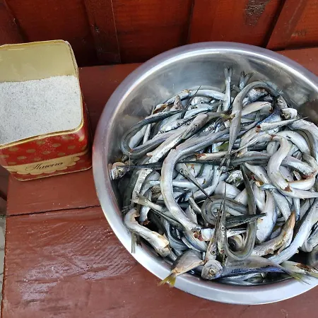 Lacramioara Din 曼加利亚