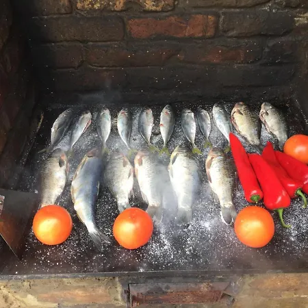 Lacramioara Din