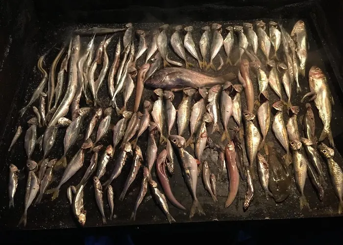 Lacramioara Din * Мангалия