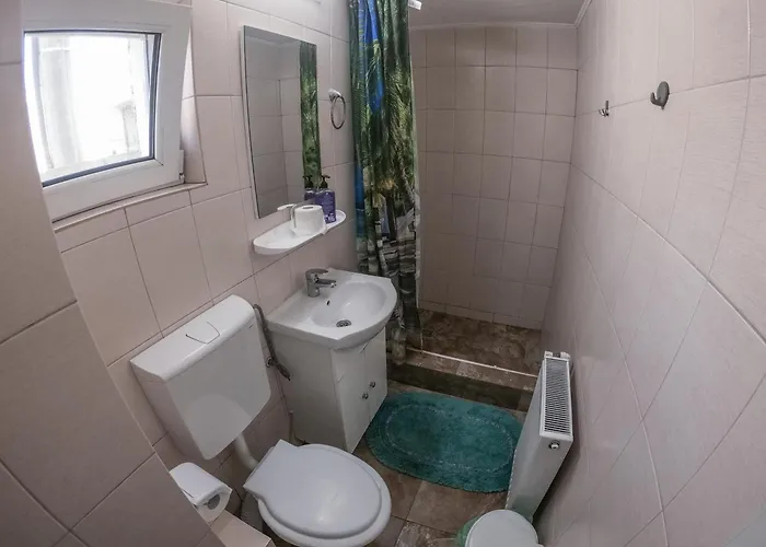 Гостевой дом Lacramioara Din