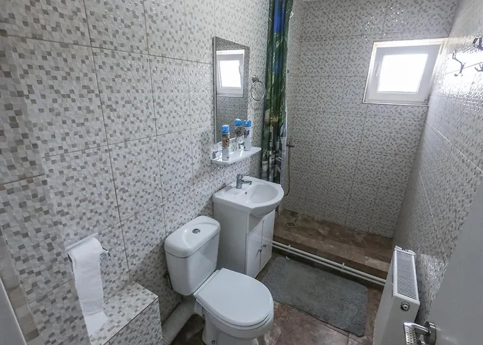 Lacramioara Din Гостевой дом *