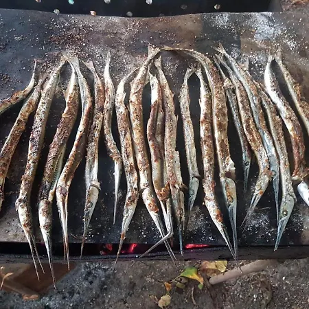 Lacramioara Din Maison d'hôtes