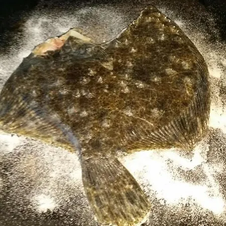 Lacramioara Din Mangalia