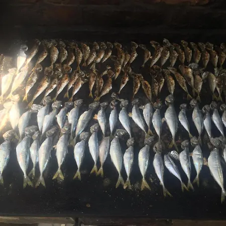 Lacramioara Din Maison d'hôtes *