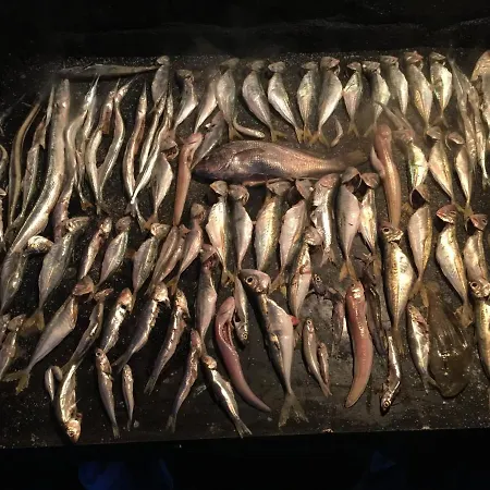 Lacramioara Din * Mangalia