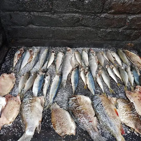 Gasthuis Lacramioara Din