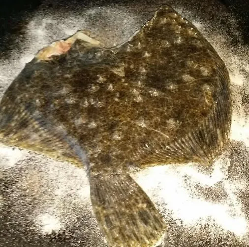 Lacramioara Din Mangalia